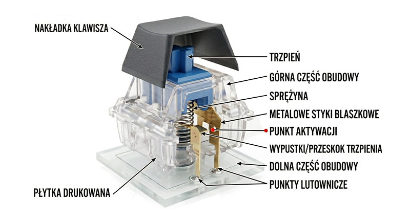 Jak zbudowane są przełączniki mechaniczne w klawiaturach?